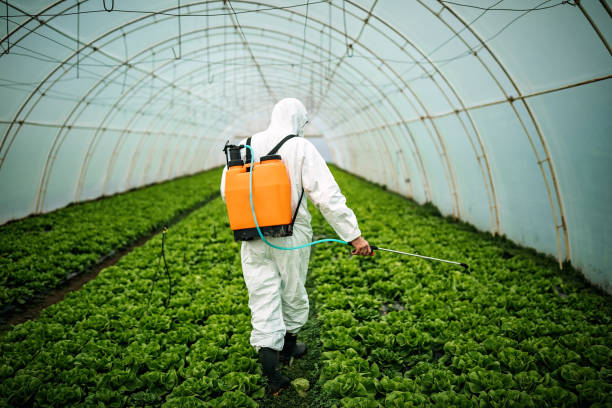 Best Pest Prevention Services  in Maplewood, MO