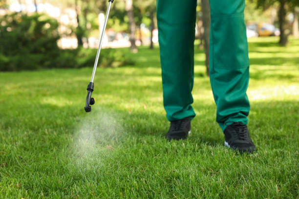 Best Pest Inspection Near Me  in Maplewood, MO
