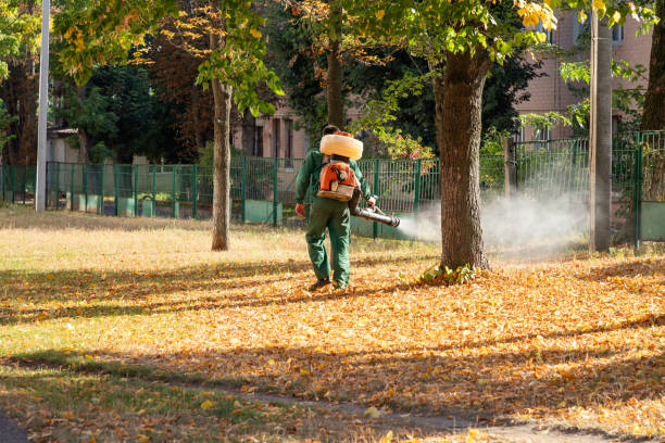 Best Affordable Pest Control Services  in Maplewood, MO