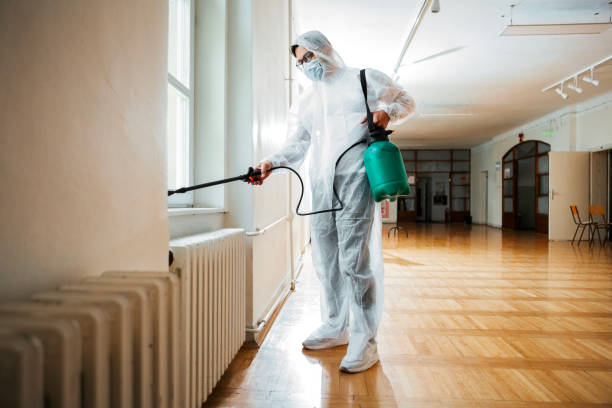 Reliable Maplewood, MO Pest Control Solutions