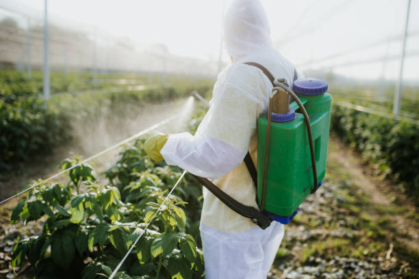 Best Best Pest Control Companies  in Maplewood, MO